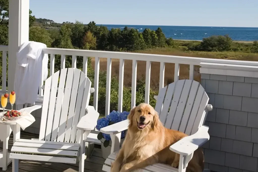 This dreamy 5-acre eco-resort, 2 hours from Boston, lets you go on vacation and come home with a dog
