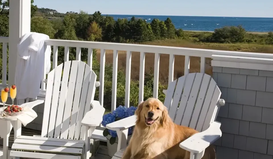 This dreamy 5-acre eco-resort, 2 hours from Boston, lets you go on vacation and come home with a dog
