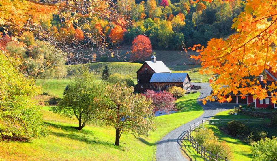 USA Today named this New England city a top 10 fall destination in the U.S. — and it’s just 3.5 hours from Boston with waterfront views and foliage drives