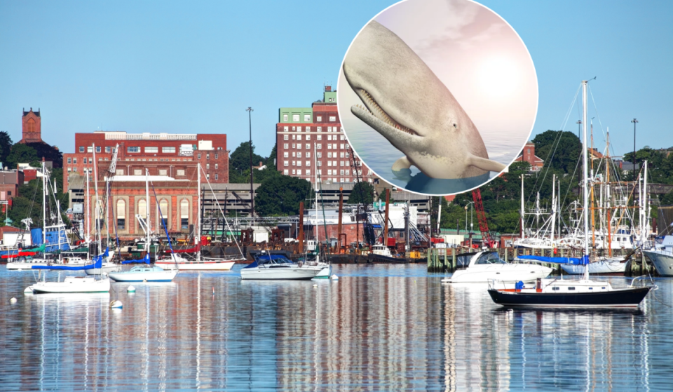 This coastal city 1 hour from Boston inspired ‘Moby Dick’
