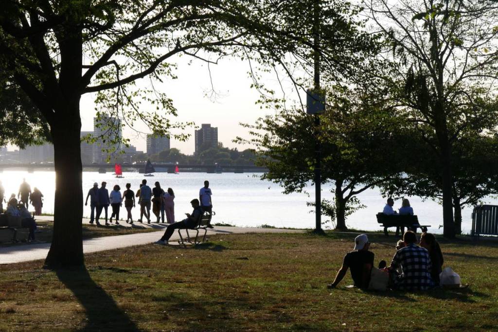 people in the sun in boston