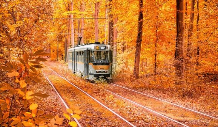 Le Tram 44 est de retour : embarquez pour la plus belle balade de Bruxelles