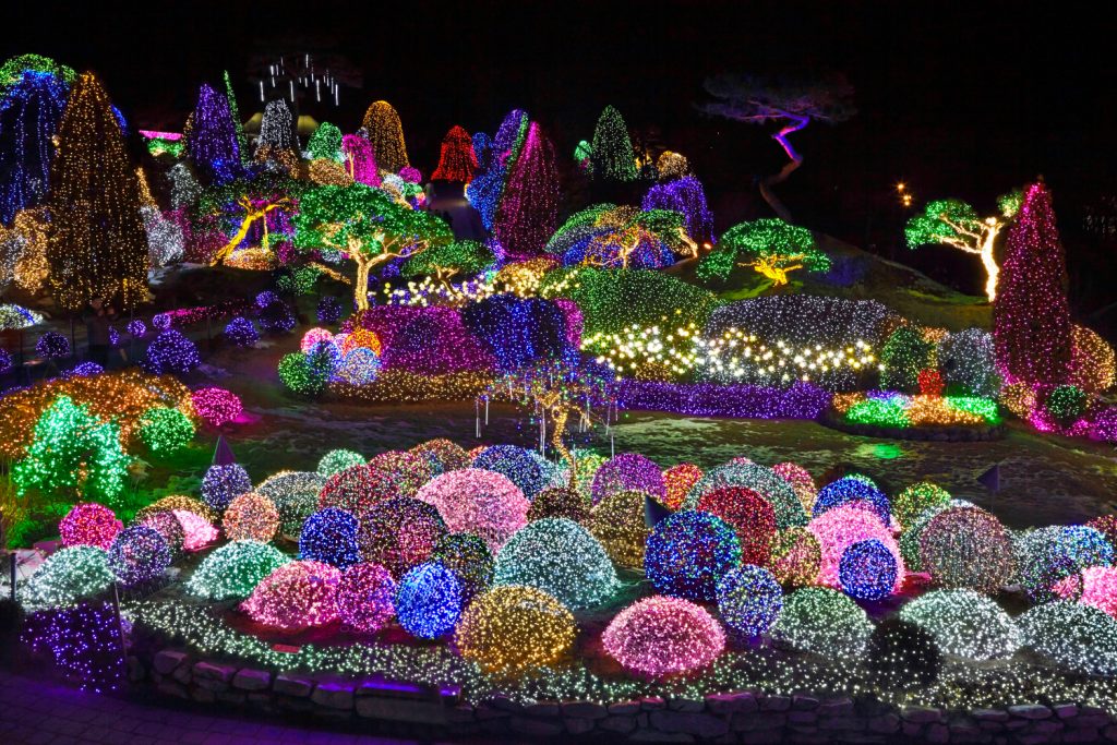 image activité