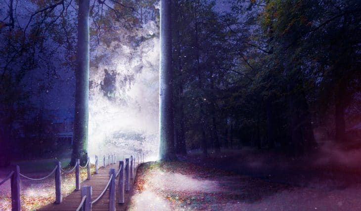 Les tickets pour l’incroyable festival Nature Illuminated à Bruxelles sont en vente !