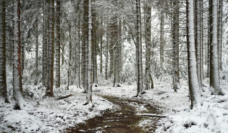 Voici en images les premières neiges qui ont recouvert la Belgique ce week-end