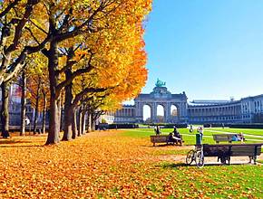 Notre sélection des meilleures activités à faire en novembre à Bruxelles
