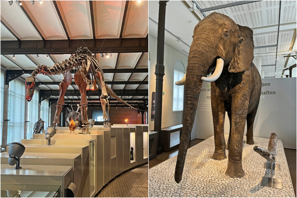 12 musées incontournables à visiter à Bruxelles