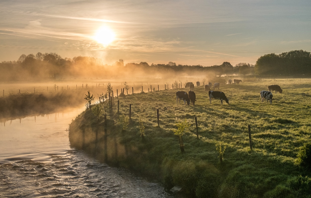 Le Parc de l'Avesnois, une escapade bucolique aux portes de la Belgique Le Parc de l'Avesnois, une escapade bucolique aux portes de la Belgique