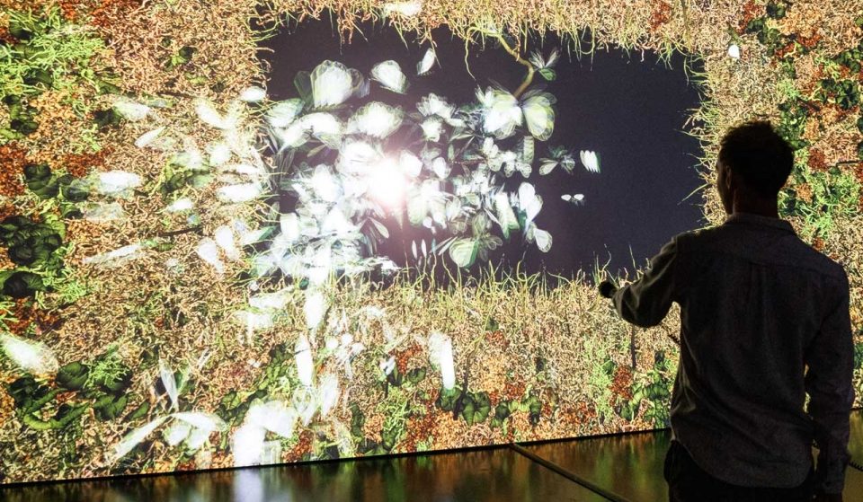 Une magnifique exposition immersive et interactive sur la nature s&rsquo;installe à Bruxelles