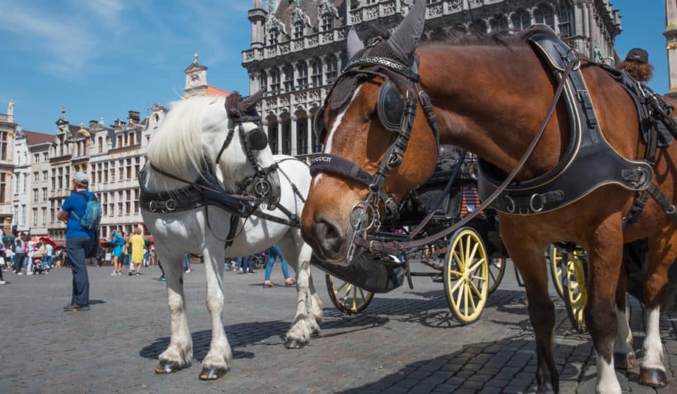 Bonne nouvelle : les calèches à chevaux vont être remplacées par des calèches électriques à Bruxelles !
