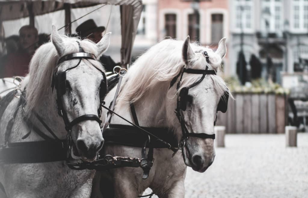 Les 10 meilleures LOCATIONS DE VOITURES DE MARIAGE