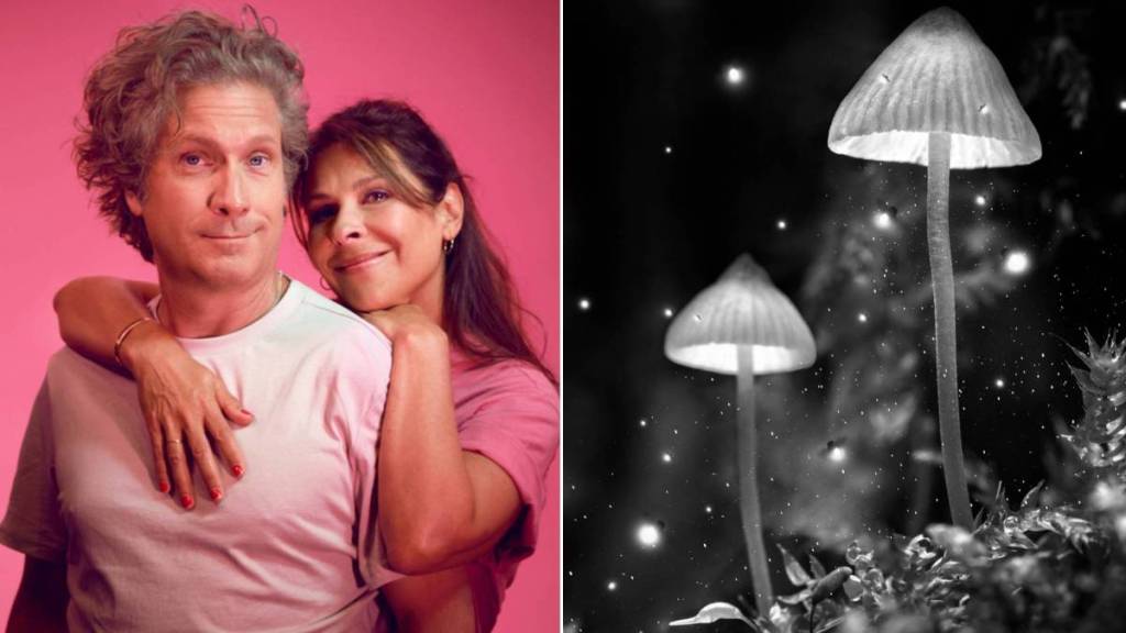Theater Season Opener: 5 Plays to Discover This Fall in Brussels