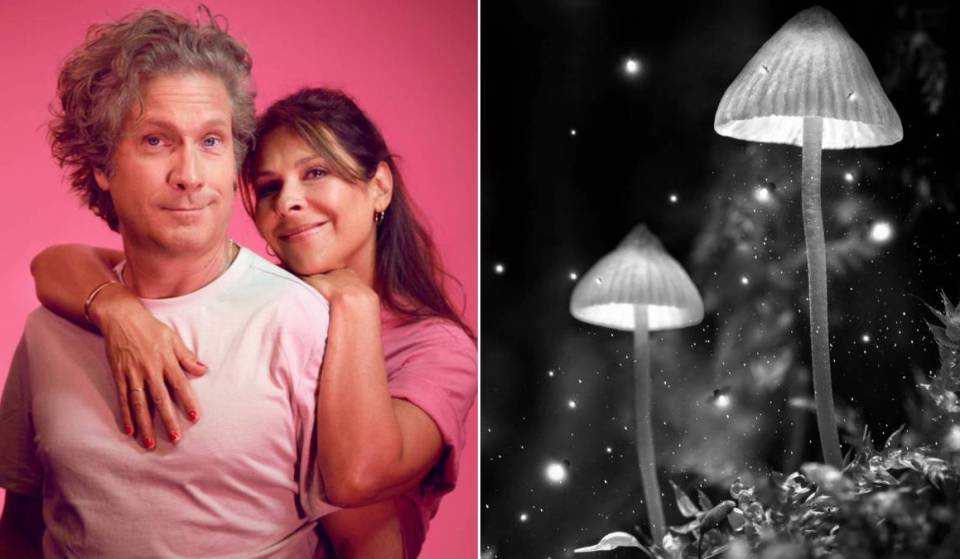 Theater Season Opener: 5 Plays to Discover This Fall in Brussels
