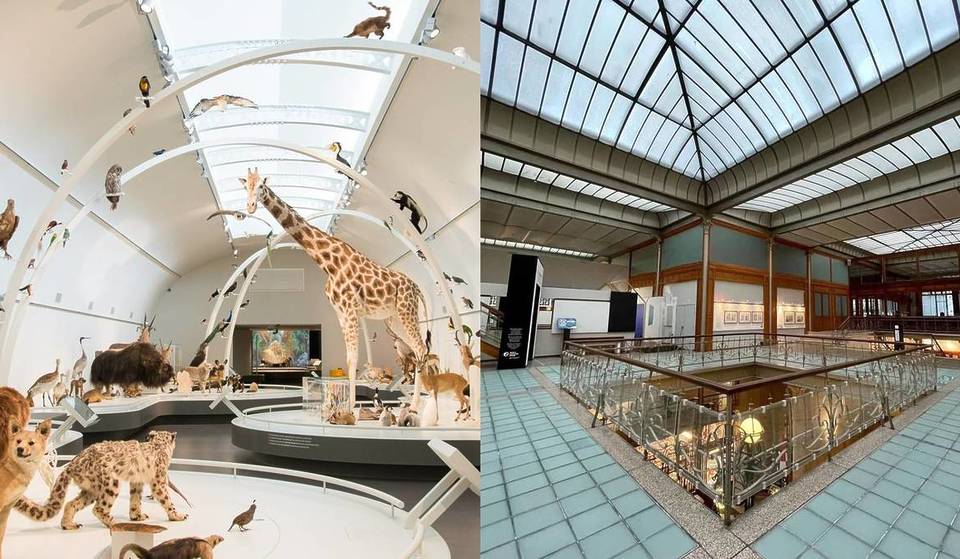 Théâtre, dinos, BD, bulles… 6 idées de sorties pour les enfants à Bruxelles