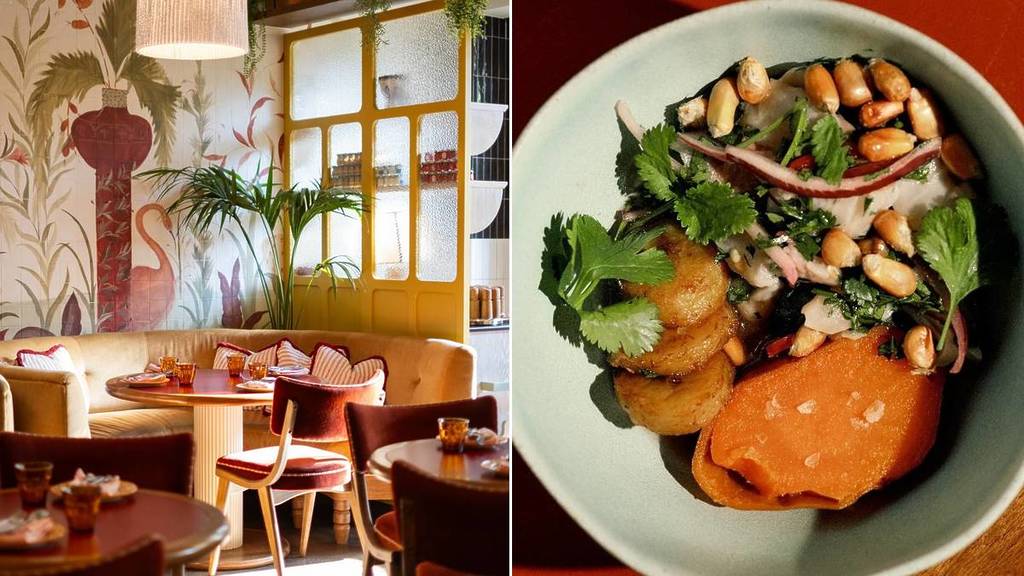 Fan de ceviche ? Voici les meilleures tables pour savourer ce délice péruvien à Bruxelles
