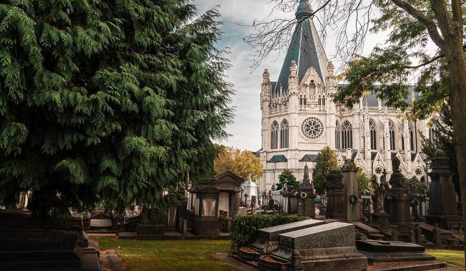 Connaissez-vous le magnifique Cimetière de Laeken ? Un phénomène très rare et poétique s&rsquo;y produit une fois par an &#8211; et vous pourrez l’observer dans quelques jours