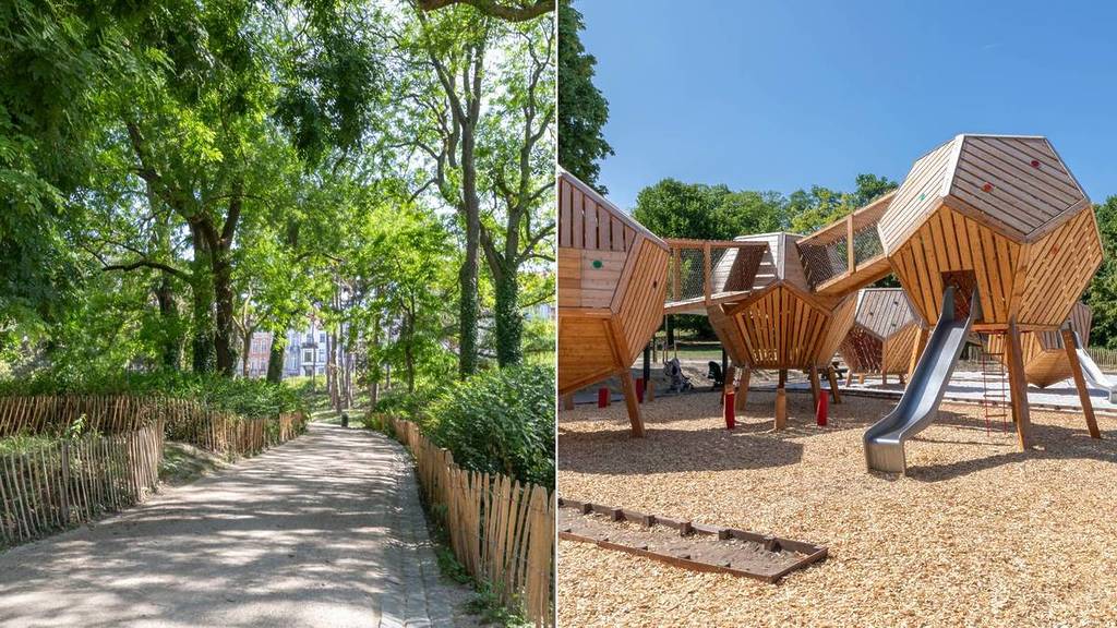 parc de forest