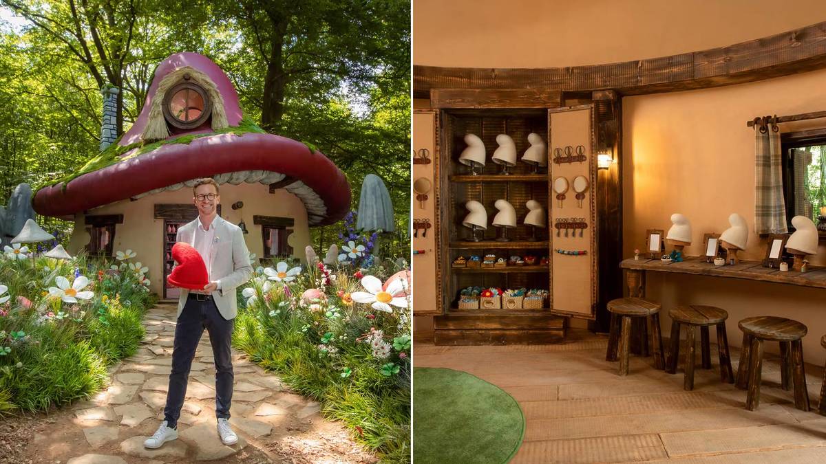 Airbnb Schtroumpf