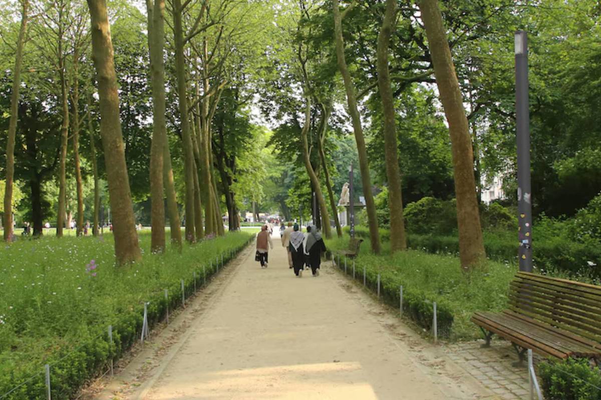rénovation du parc du cinquantenaire