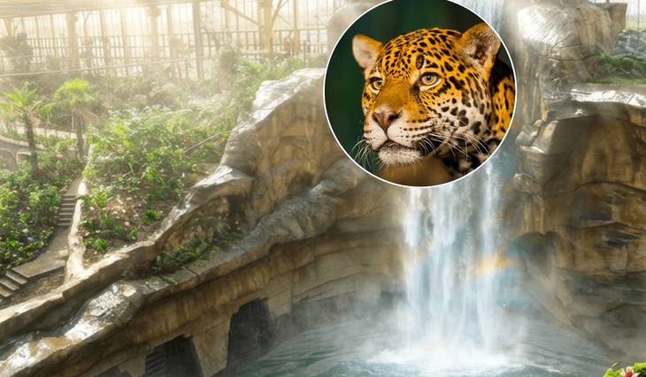 La plus grande serre tropicale au monde ouvrira très bientôt à 1h de Bruxelles – restaurant subaquatique, grande cascade, plage et animaux exotiques au rendez-vous