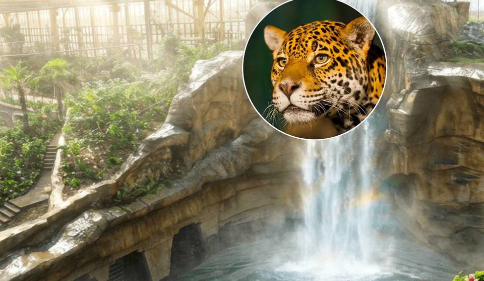 La plus grande serre tropicale au monde ouvrira très bientôt à 1h de Bruxelles – restaurant subaquatique, grande cascade, plage et animaux exotiques au rendez-vous