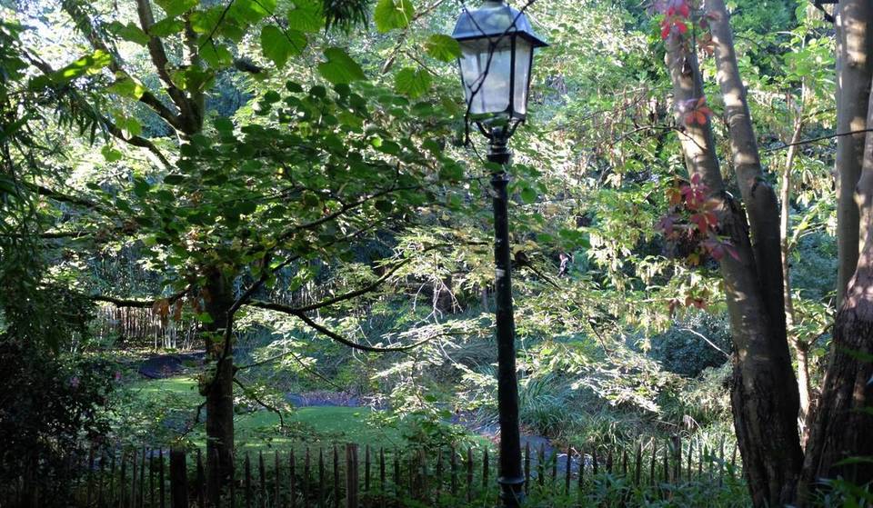 Pensé comme un jardin botanique et un arboretum, ce havre de paix secret de 2 hectares, qui abrite plus de 400 espèces végétales, vient d’être classé par la Région de Bruxelles-Capitale