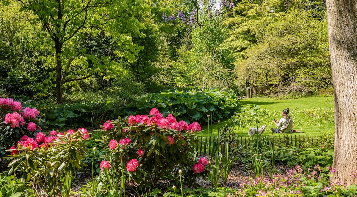 Parc Tenbosch arboretum Ixelles bruxelles