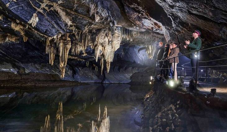 À 2h de Bruxelles, ces grottes incroyables comptent parmi les plus belles d’Europe – et vous pouvez aussi visiter leur parc animalier