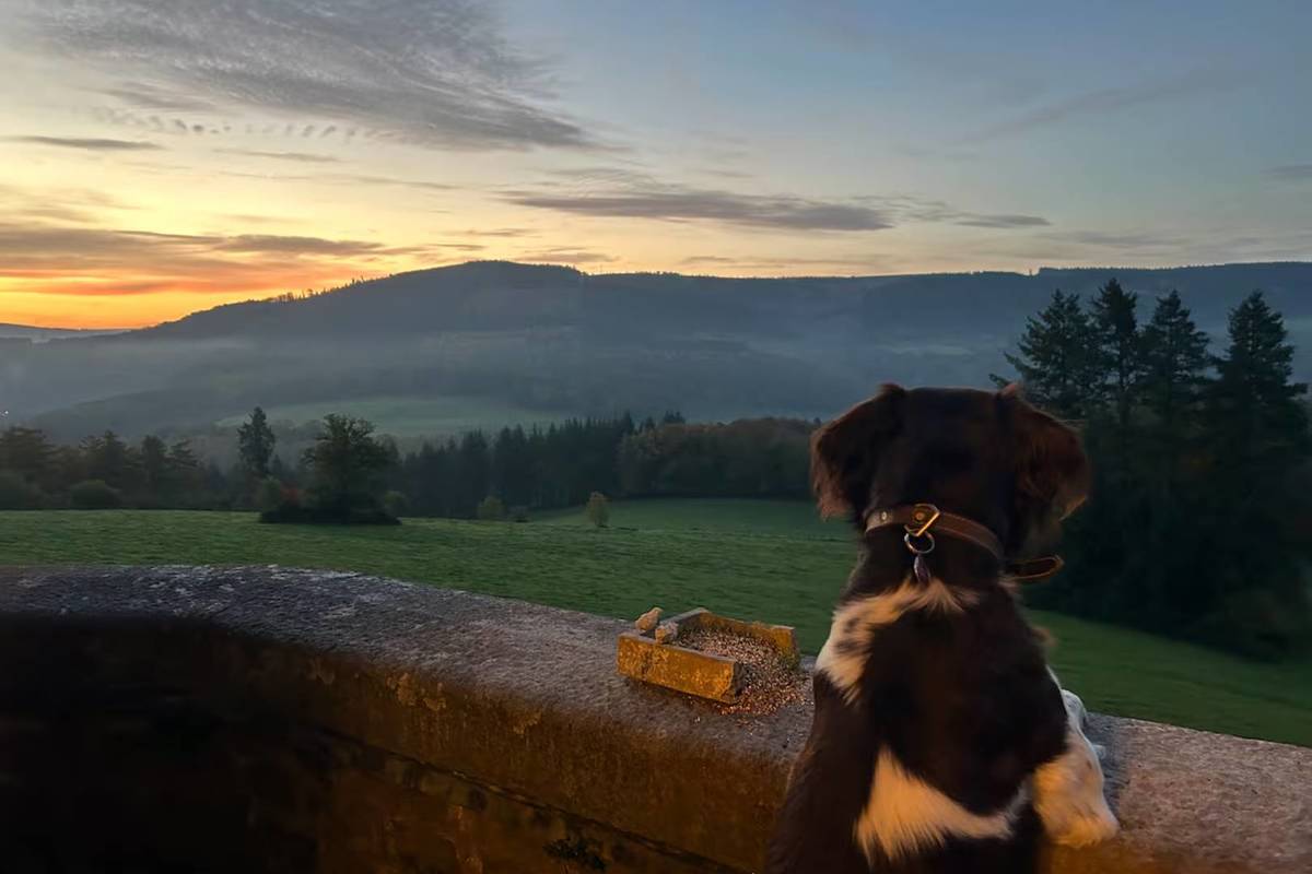 Château de froidcour