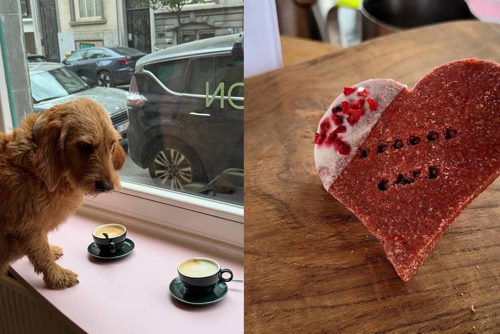café pour chiens Bruxelles