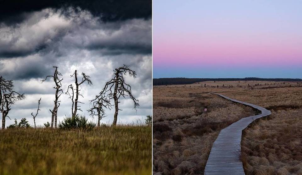 Découvrez le domaine de Noir Flohay en automne : forêt spectrale, brume mystérieuse et atmosphère d’Halloween garantie