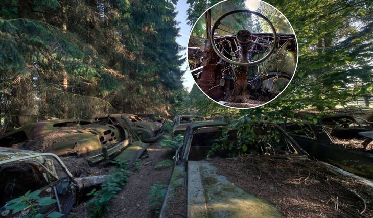These American cars from 1945 lay hidden in a Belgian forest—their mysterious fate will surprise you!