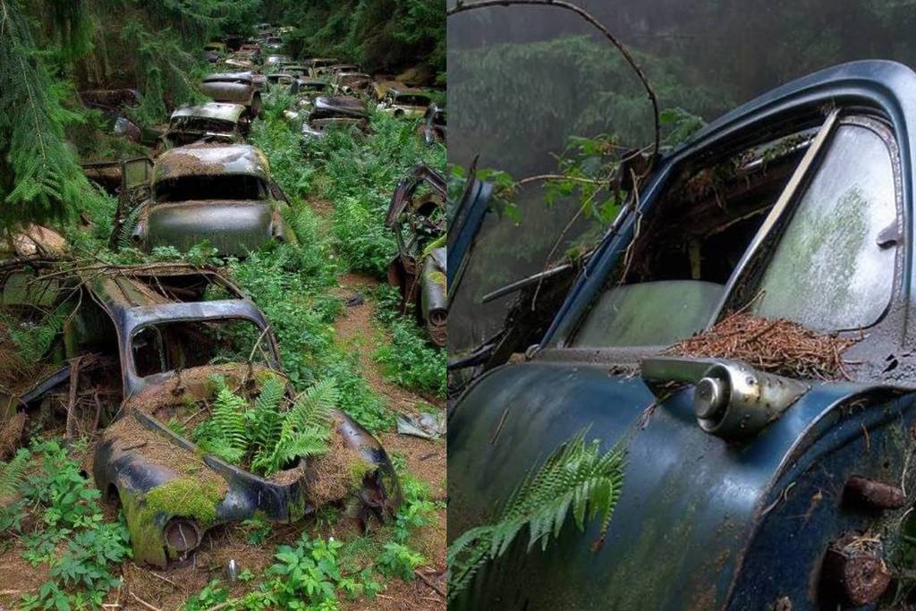 cimetière de voitures