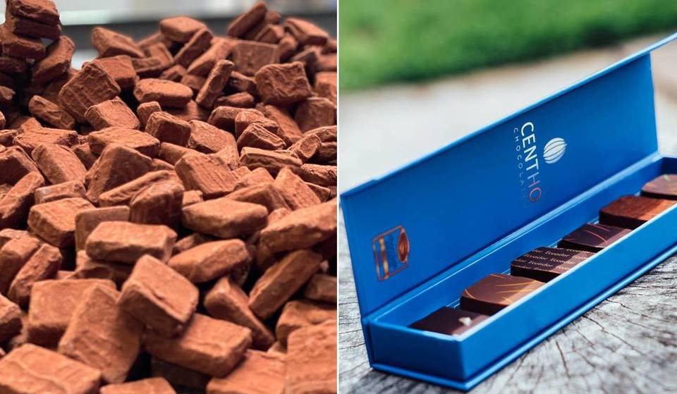 Voted best chocolate factory in Belgium by Gault&amp;Millau, this Brussels-based company is little known in France &#8211; but Japan is crazy about its blue pralines with sustainable cocoa.