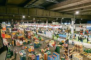 Au cœur de Bruxelles, ce marché géant peu connu du grand public est surnommé “le ventre de la ville” – mais saviez-vous que vous pouvez le visiter ?