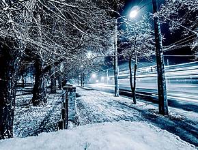 Tempête Goretti : voici le bilan des interventions à Bruxelles et ce qui vous attend pour la fin de journée