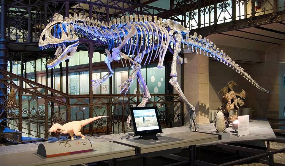 Night at the Museum for real? In Brussels, sleep among the largest collection of dinosaur skeletons in Europe during two exceptional night events for young and old alike.