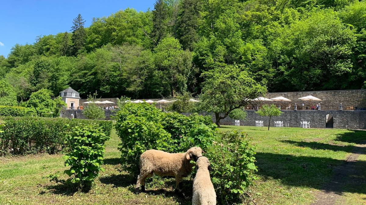 Abbaye Notre-Dame du Vivier