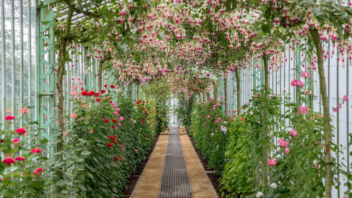 Serres Royales de Laeken