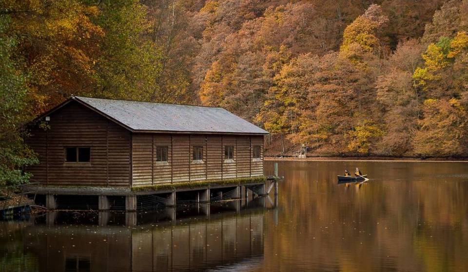 « Le petit Canada belge » : À moins de 2h de Bruxelles, ce lac aux eaux émeraude caché au cœur de l’Ardenne offre un dépaysement total – il abrite un sentier de randonnée et des activités aquatiques spectaculaires
