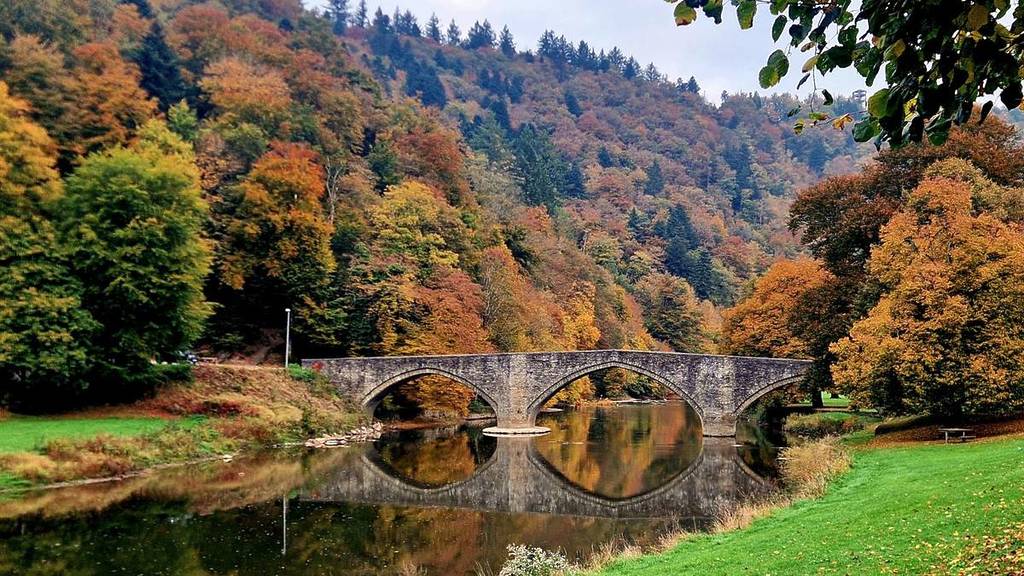 Bouillon