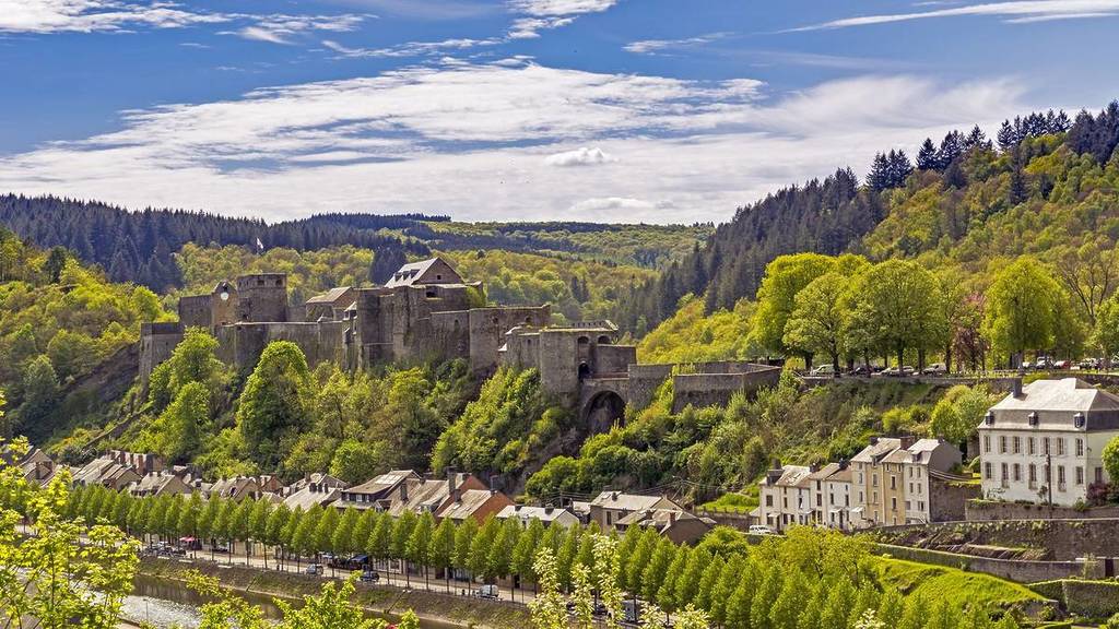 Bouillon