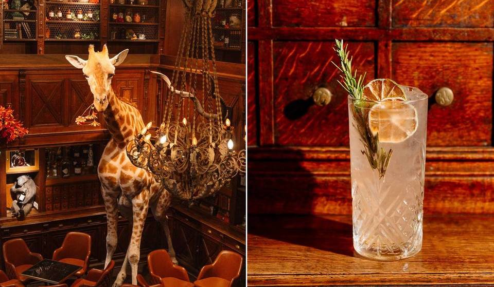 In Brussels, this unusual bar with a Victorian atmosphere immerses visitors in a veritable cabinet of curiosities, amid steaming potions and stuffed animals