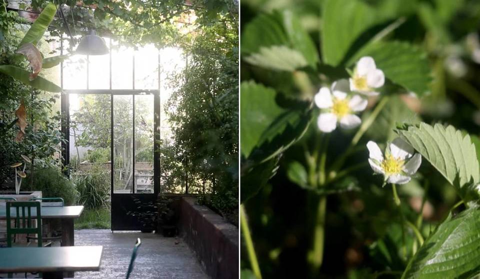 À Bruxelles, ce resto éphémère caché dans une serre fait déjà sensation : voici pourquoi les réservations explosent