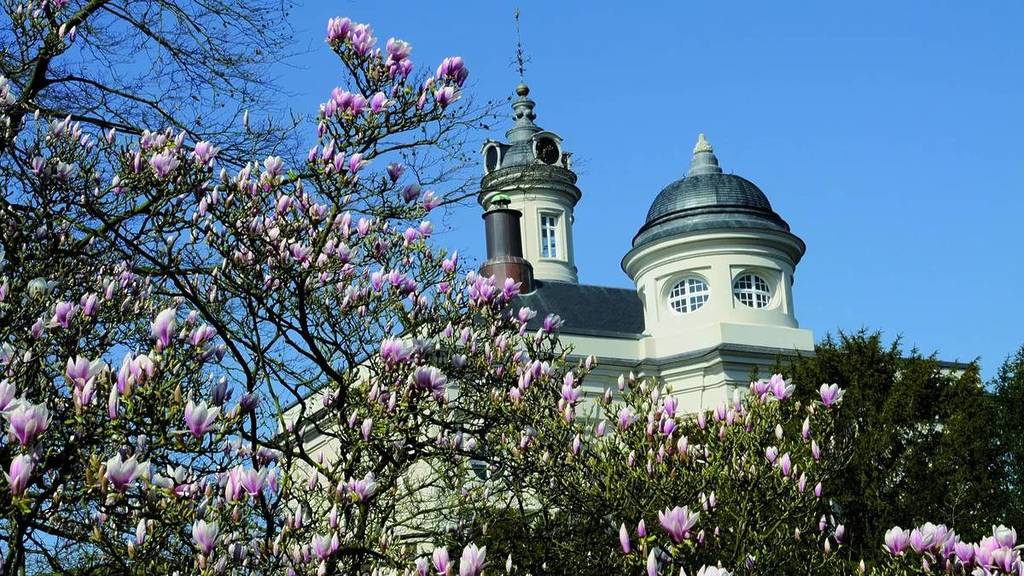 Hof ter Saksen