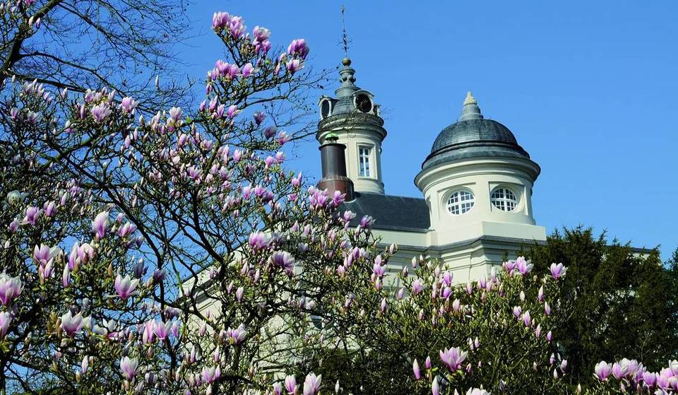 Just an hour from Brussels, this 33-hectare green estate hides an orchard with 70 varieties of heirloom fruits and an old orangery—it is home to an 18th-century Baroque masterpiece