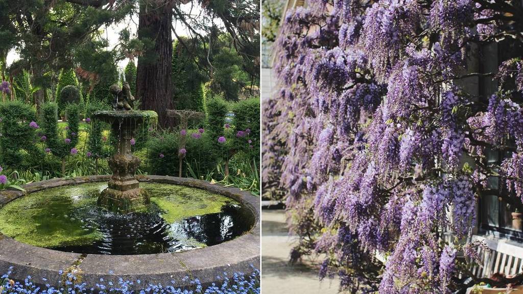 Just 30 minutes from Brussels, this nearly 300-year-old botanical gem hides ponds, rare flowers, and an astonishing tropical jungle