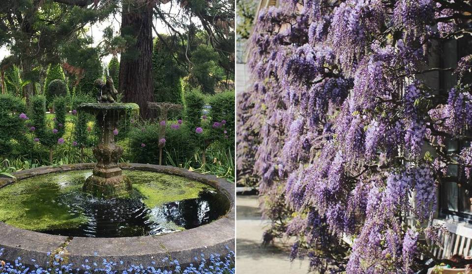 À seulement 30 minutes de Bruxelles, ce joyau botanique vieux de près de 300 ans cache des étangs, des fleurs rares et une étonnante jungle tropicale