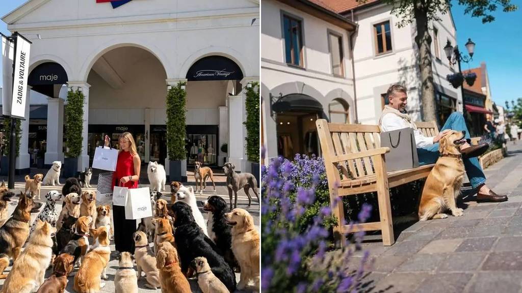 À 1h30 de Bruxelles, cette destination shopping bien connue des Belges lance un nouvel événement pensé pour les chiens et leurs humains