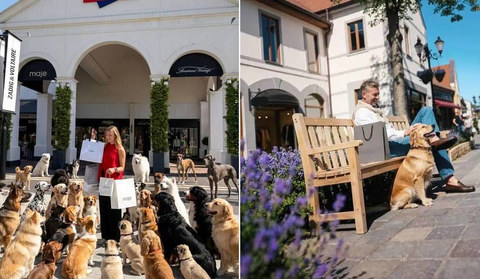 Just 1.5 hours from Brussels, this shopping destination well-known to Belgians is launching a new event designed for dogs and their humans